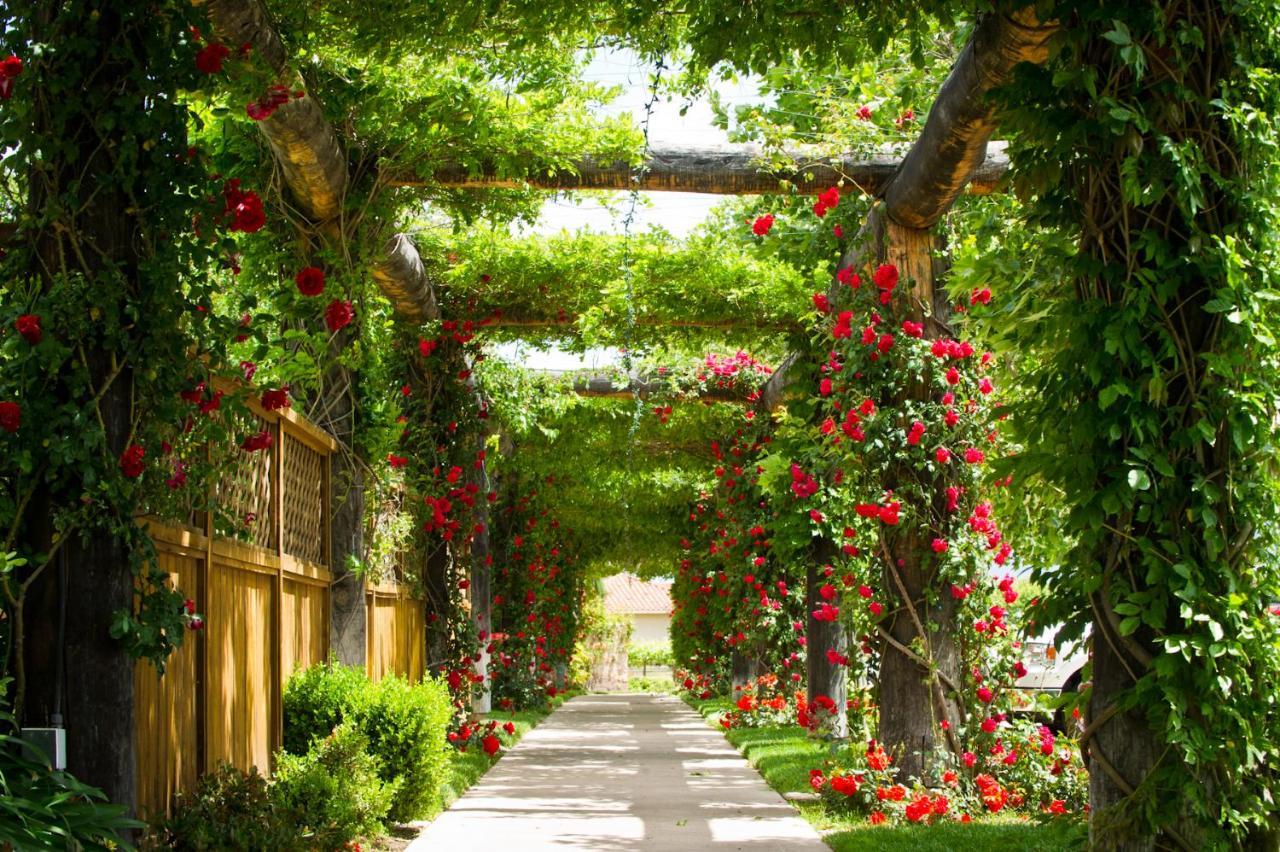 South Coast Winery Resort & Spa Temecula Bagian luar foto